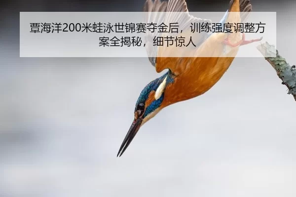 覃海洋200米蛙泳世锦赛夺金后，训练强度调整方案全揭秘，细节惊人